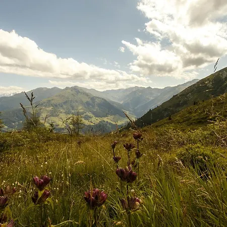 Apartment Apart Sprenger Im Zillertal